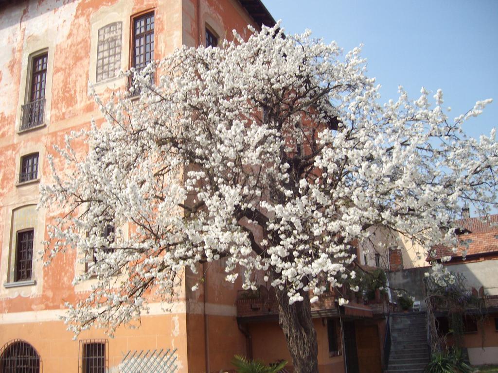 Il Castello Delle Meraviglie Fontaneto d'Agogna Exterior foto